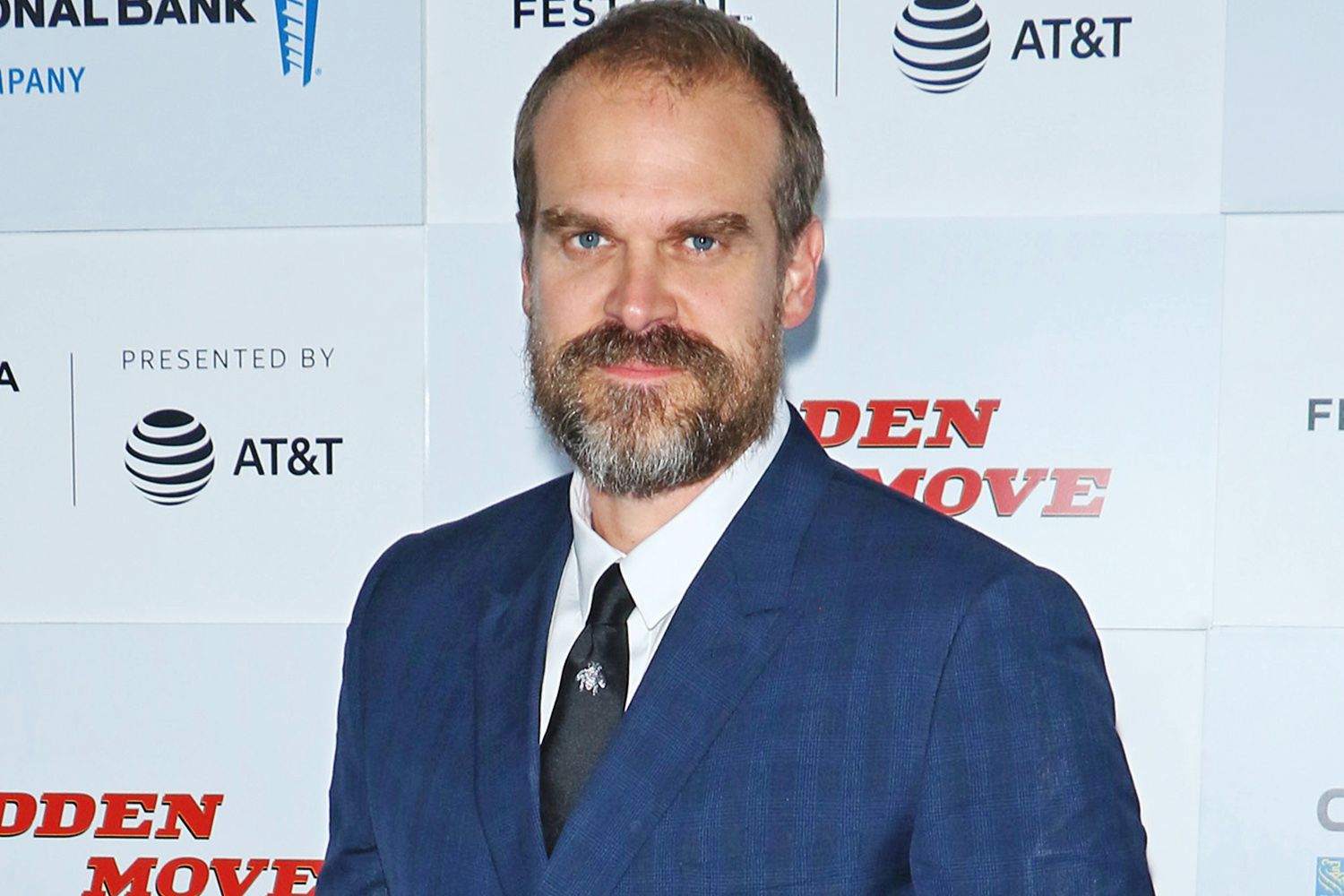 David Harbour Details about Career Progression