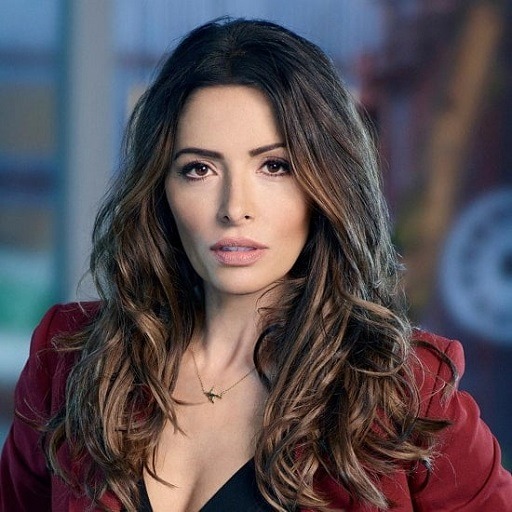 Explanation of Aahoo Jahansouz Sarah Shahi Net Worth