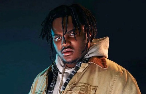 Explanation of Tee Grizzley Net Worth