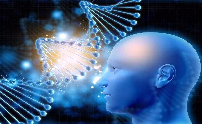 Unraveling the Secrets of Silent Biology: Unlocking the Potential of Quiet Life Forms Unraveling the Secrets of Silent Biology Unlocking the Potential of Quiet Life Forms