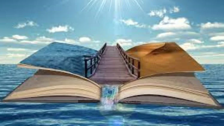 Why Subscribing To Magazines Is Best For Literature Enthusiasts Why Subscribing To Magazines Is Best For Literature Enthusiasts