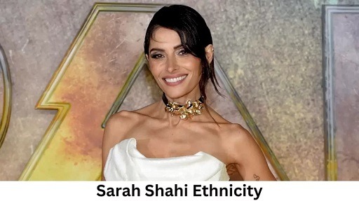 sarah shahi ethnicity what is sarah shahi ethnicity 63afde37e60b3 1672470071 900