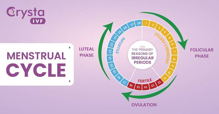 Causes of Irregular Periods After Gastric Sleeve Surgery