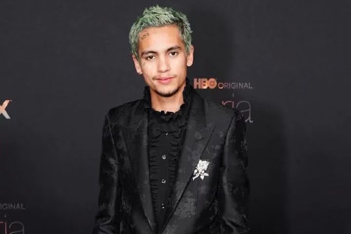 Dominic Fike Net Worth: Breaking Boundaries in Modern Music, Full Name, Age, Notable Works, Controversy, Nationality, Career, Occupation Dominic Fike Net Worth