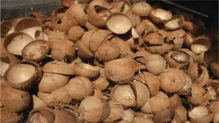 Ignite Your Hookay Experience with Premium Coconut Shell Coals Ignite Your Hookay Experience with Premium Coconut Shell Coals