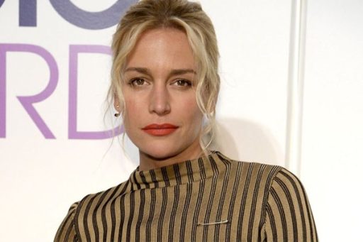 Piper Perabo Personal Profile Full Name Age Notable Works Net Worth Controversy Nationality Career Occupation e1689484158156