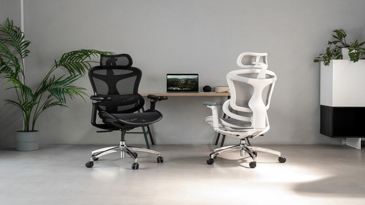 The Ultimate Guide to Ergonomic Chairs SIHOO Doro C300 Review Features2