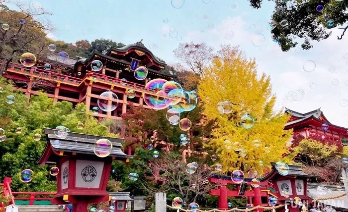 Unveiling Japan: A Journey through Tradition, Innovation, and Cuisine Unveiling Japan A Journey through Tradition Innovation and Cuisine