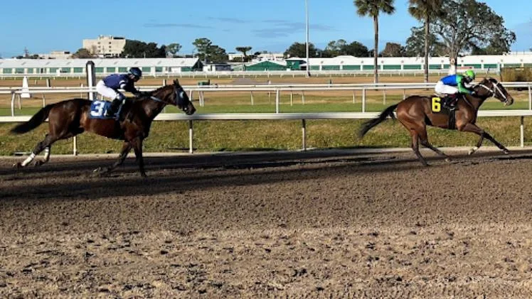 What are the skills that horse racing jockeys must have? What are the skills that horse racing jockeys must have