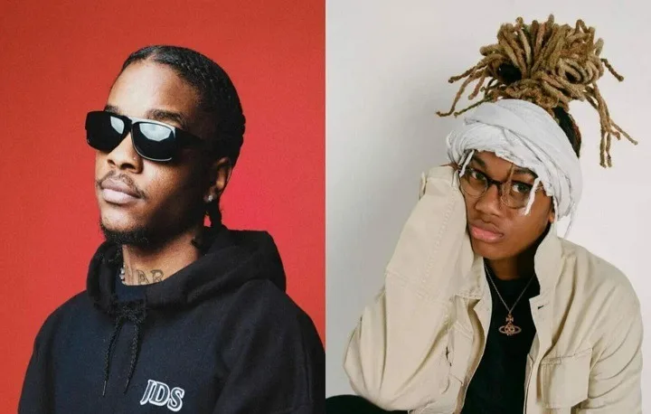 Baby Santana Net Worth: Rising Star in the Hip-Hop World, Full Name, Age, Notable Works, Controversy, Nationality, Career, Occupation Baby Santana