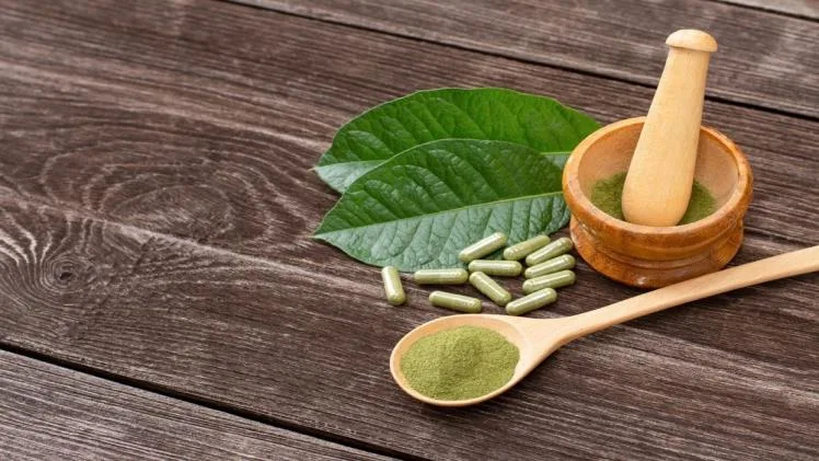 Exploring the Potential Benefits of Kratom Exploring the Potential Benefits of Kratom