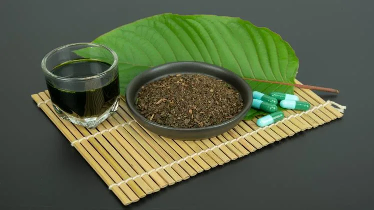 How Red Borneo Kratom Is Better Than The Other Kratom Strains? How Red Borneo Kratom Is Better Than The Other Kratom Strains
