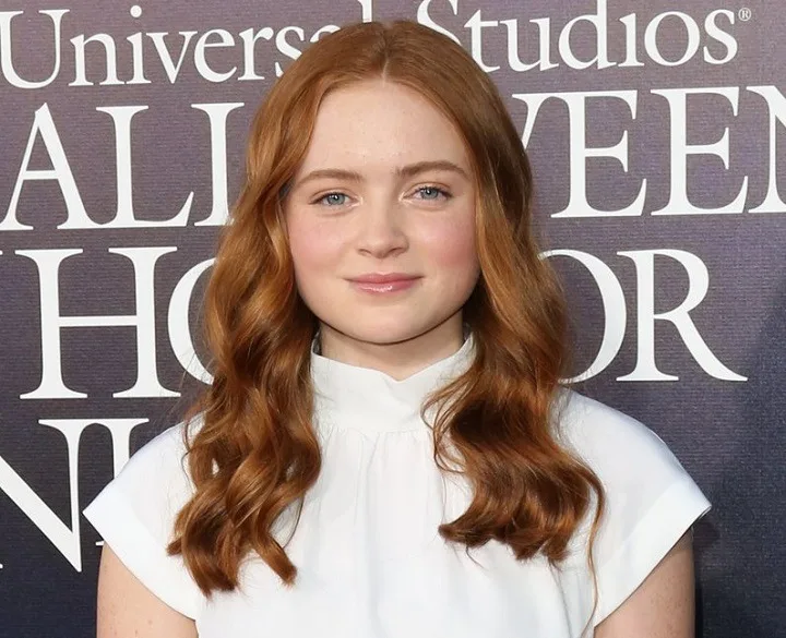 Sadie Sink Net Worth: Rising Star Illuminating Hollywood with Talent and Charm, Full Name, Age, Notable Works, Controversy, Nationality, Career, Occupation Sadie Sink Net Worth