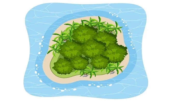 How to Keep Your Plants and Fish Thriving in an Aquaponics System Screenshot 6 3