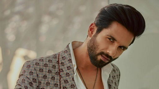 Shahid Kapoor Details about Career Progression