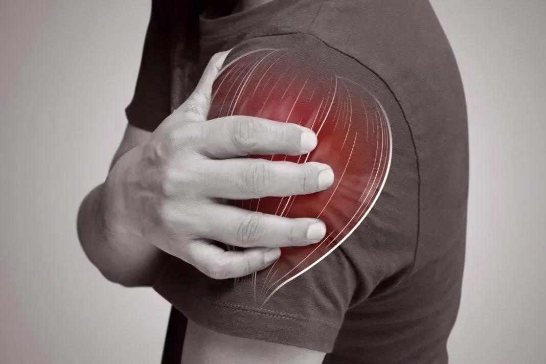 Stem Cell Therapy for Shoulder Pain Relief Stem Cell Therapy for Shoulder Pain Relie