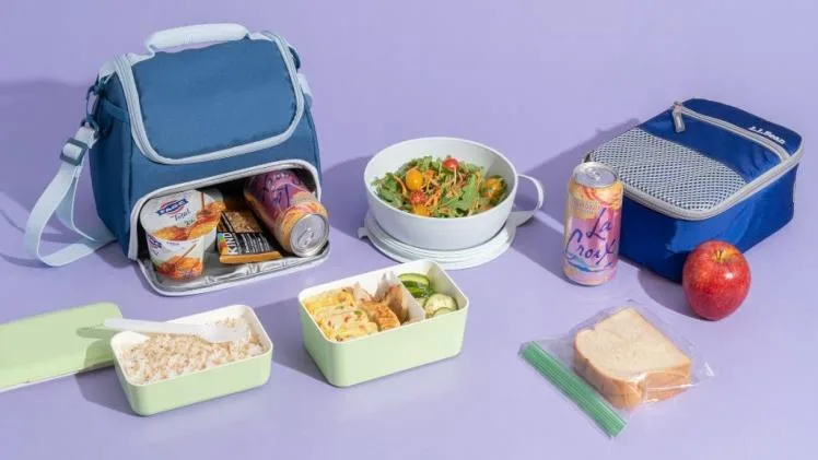 6 Reasons to Grab Insulated Lunch Bag for Your Kids 6 Reasons to Grab Insulated Lunch Bag for Your Kids