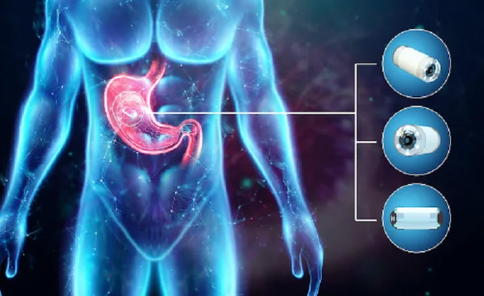 How to Understand and Test a Drug’s Journey in the Body Drugs