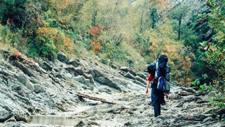 Essential Tips on How to Prepare for Emergencies in the Wild Essential Tips on How to Prepare for Emergencies in the Wild