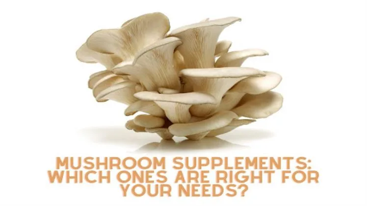 Mushroom Supplements: Which Ones Are Right for Your Needs? Mushroom Supplements Which Ones Are Right for Your Needs