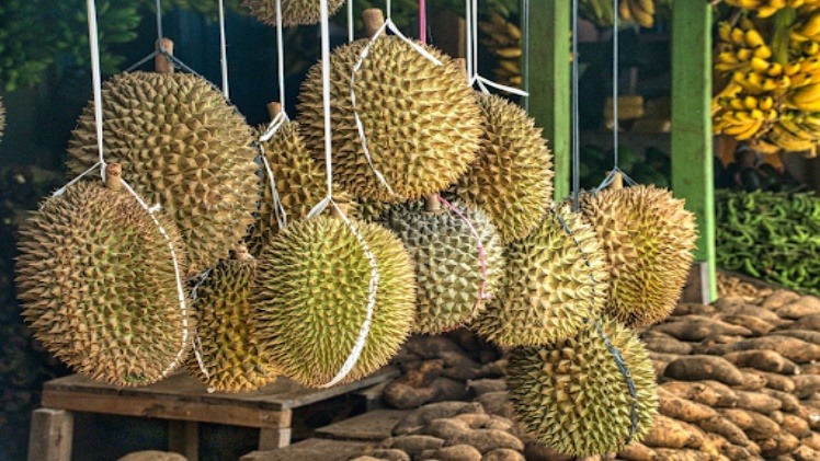 Satisfy Your Durian Cravings with Singapores Best Delivery Services1