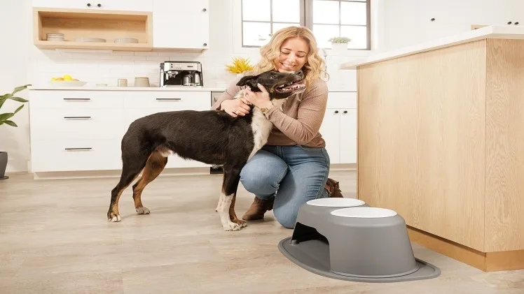 Why Custom Dog Bowls Are a Must-Have for Pet Owners Why Custom Dog Bowls Are a Must Have for Pet Ownersv