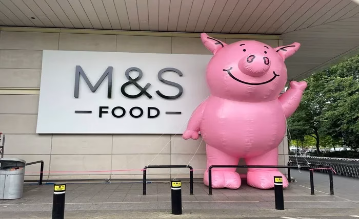 Creative Marketing with Megaflatables Inflatable Animal Replicas