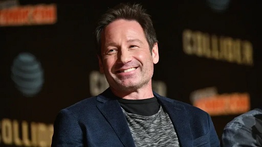 David Duchovny Net Worth 1