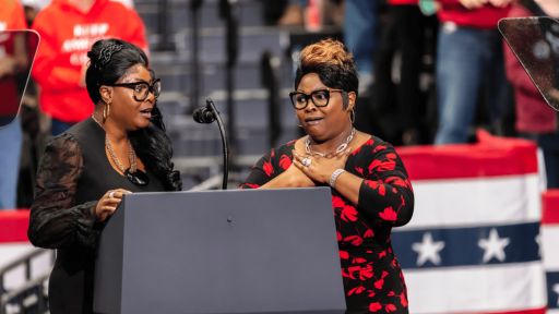 Diamond and Silk Net Worth