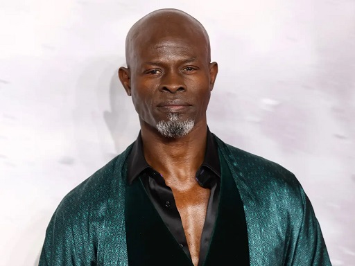 Djimon Hounsou Net Worth 1