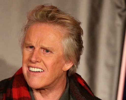 Gary Busey Net Worth 2