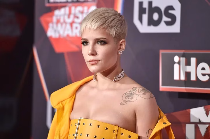 Halsey Net Worth: Unveiling Her Life, Net Worth, and Journey, Full Name, Age, Notable Works, Controversy, Nationality, Career, Occupation Halsey Net Worth