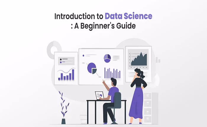 Introduction to Data Science: A Beginner's Guide