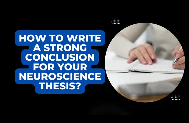 How to Write a Strong Conclusion for Your Neuroscience Thesis? Neuroscience Thesis