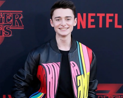 What is Noah Schnapp's Net Worth?