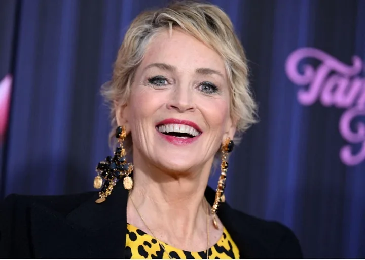 Sharon Stone Net Worth: A Trailblazing Career in Hollywood, Full Name, Age, Notable Works, Controversy, Nationality, Career, Occupation Sharon Stone Net Worth
