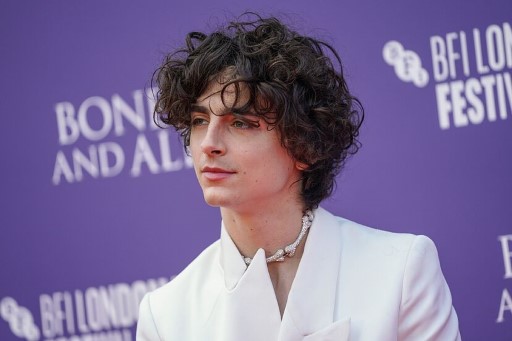 Timothee Chalamet Net Worth 2