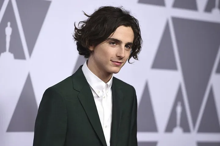 Timothée Chalamet Net Worth: The Rising Star of Hollywood, Full Name, Age, Notable Works, Controversy, Nationality, Career, Occupation Timothee Chalamet Net Worth