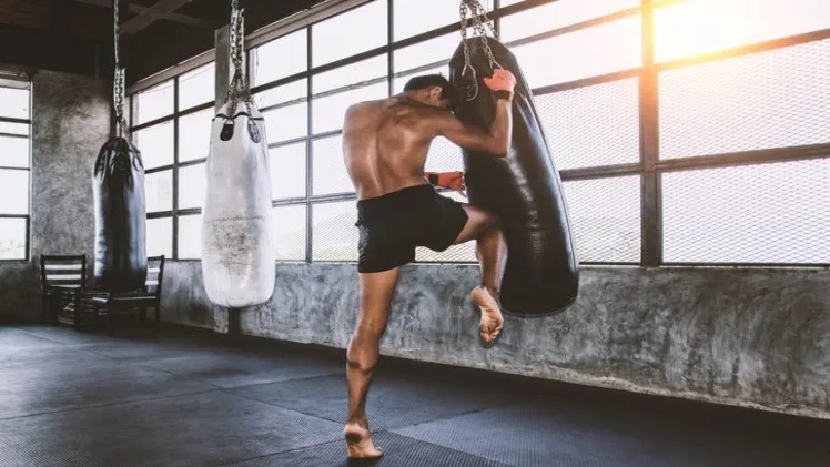 All-Encompassing Approach with Muay Thai Fitness Course All Encompassing Approach with Muay Thai Fitness Course 1