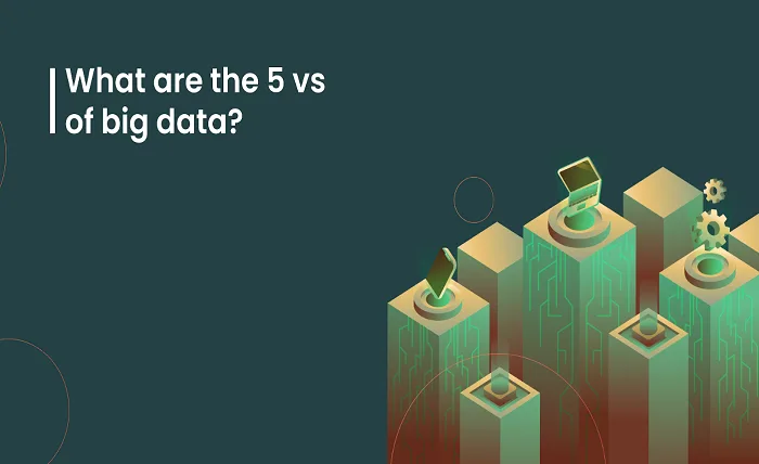 What are the 5 V’s of big data? Screenshot 3 3