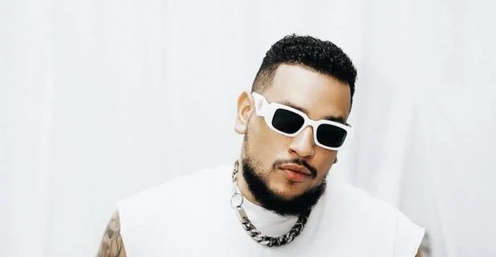 AKA Net Worth: Uncovering the Wealth of the South African Rap Icon, Full Name, Age, Notable Works, Controversy, Nationality, Career, Occupation AKA Net Worth