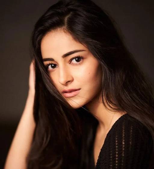 Ananya Pandays Net Worth 1