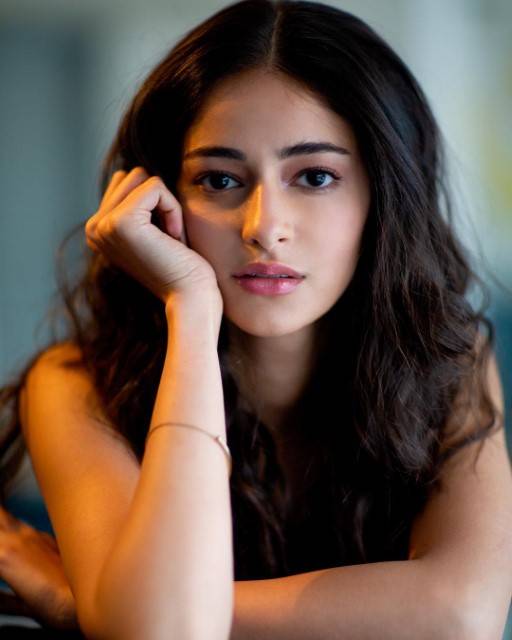 Ananya Pandays Net Worth 3