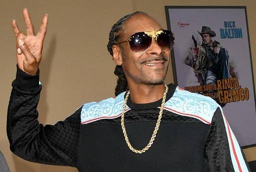 Comparison of Snoop Dogg Net Worth vs. Others