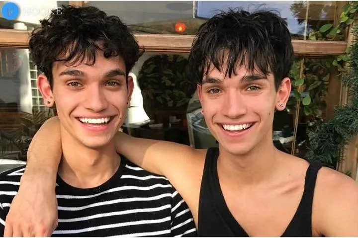 Dobre Twins Net Worth: From Vine to Internet Stardom, Full Name, Age, Notable Works, Controversy, Nationality, Career, Occupation Dobre Twins Net Worth