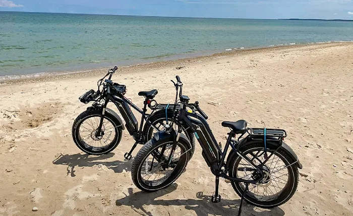 How fast do electric bikes go Screenshot 6 5