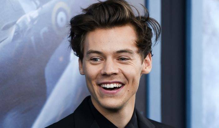 Harry Styles Net Worth 2024 1