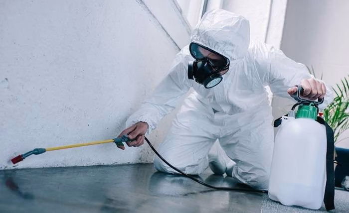 Pest Control in Commercial Spaces Challenges and Solutions