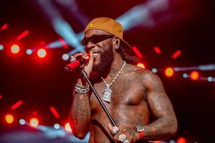 Burna Boy Net Worth: Age, Notable Works, Social Work, Controversy, Nationality, Career, Occupation in 2024 Burna Boy Net Worthsff