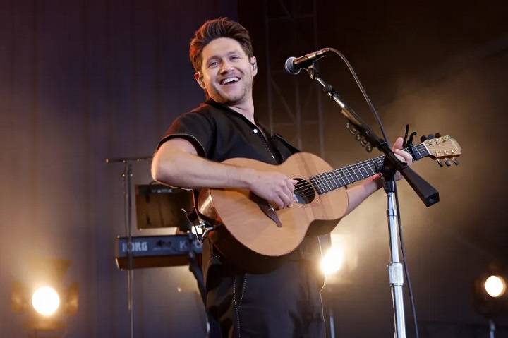 Niall Horan Net Worth: Age, Notable Works, Controversy, Nationality ...